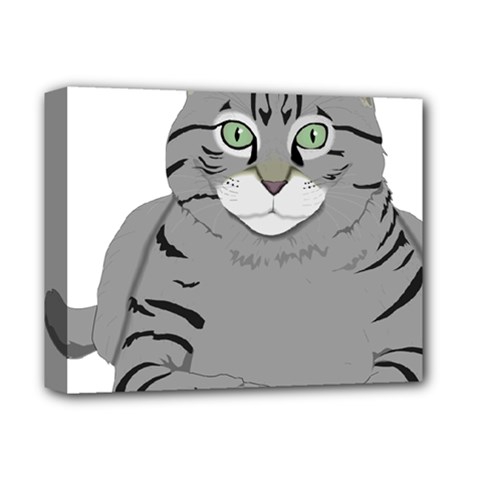 Cat Kitty Gray Tiger Tabby Pet Deluxe Canvas 14  X 11  by Sapixe