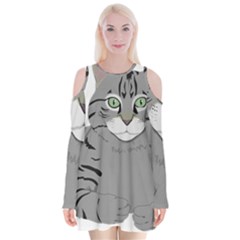 Cat Kitty Gray Tiger Tabby Pet Velvet Long Sleeve Shoulder Cutout Dress by Sapixe