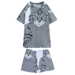 Cat Kitty Gray Tiger Tabby Pet Kids  Swim Tee And Shorts Set