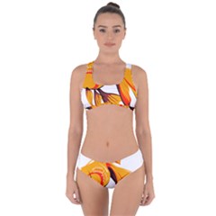 Goldfish Fish Tank Water Tropical Criss Cross Bikini Set by Sapixe