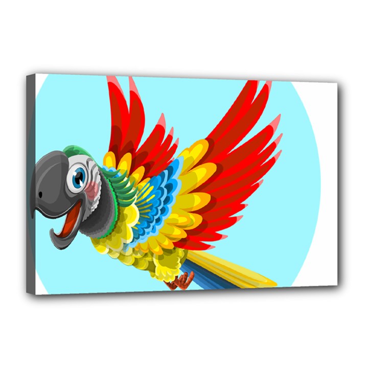 Parrot Animal Bird Wild Zoo Fauna Canvas 18  x 12 