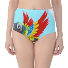 Parrot Animal Bird Wild Zoo Fauna Classic High-waist Bikini Bottoms by Sapixe