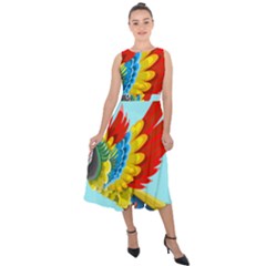 Parrot Animal Bird Wild Zoo Fauna Midi Tie-back Chiffon Dress