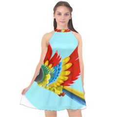 Parrot Animal Bird Wild Zoo Fauna Halter Neckline Chiffon Dress  by Sapixe