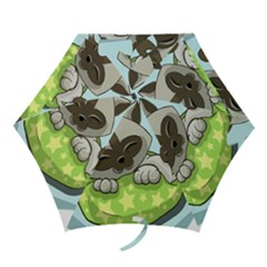 Kitten Kitty Cat Sleeping Sleep Mini Folding Umbrellas by Sapixe