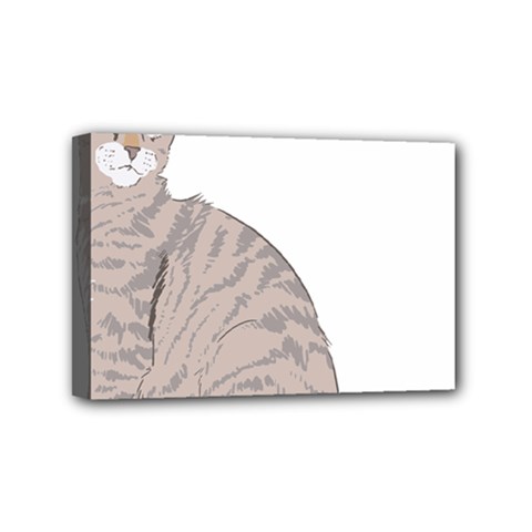 Kitten Cat Drawing Line Art Line Mini Canvas 6  X 4  by Sapixe