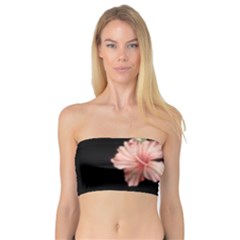 Beautiful Tropical Black Pink Florals  Bandeau Top