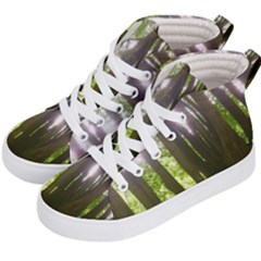 Tree Of Trees Kid s Hi-top Skate Sneakers by DeneWestUK