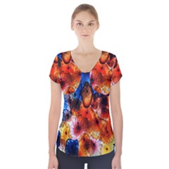 Ornament Color Vivid Pattern Art Short Sleeve Front Detail Top by Nexatart