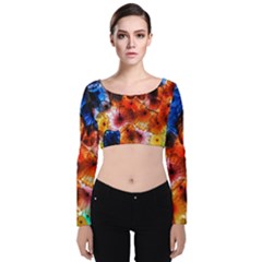 Ornament Color Vivid Pattern Art Velvet Crop Top by Nexatart