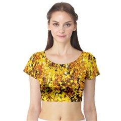 Birch Tree Yellow Leaves Short Sleeve Crop Top by FunnyCow