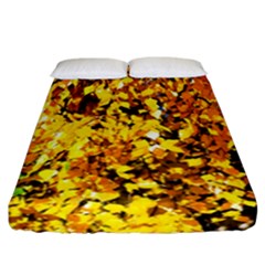 Birch Tree Yellow Leaves Fitted Sheet (california King Size) by FunnyCow