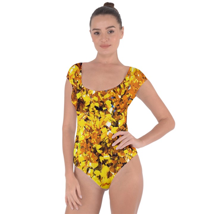 Birch Tree Yellow Leaves Short Sleeve Leotard 