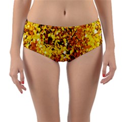 Birch Tree Yellow Leaves Reversible Mid-waist Bikini Bottoms by FunnyCow