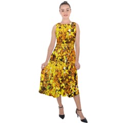 Birch Tree Yellow Leaves Midi Tie-back Chiffon Dress by FunnyCow