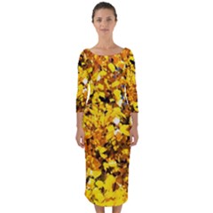 Birch Tree Yellow Leaves Quarter Sleeve Midi Bodycon Dress by FunnyCow