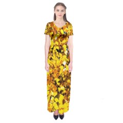 Birch Tree Yellow Leaves Short Sleeve Maxi Dress by FunnyCow