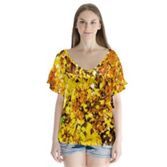 Birch Tree Yellow Leaves V-neck Flutter Sleeve Top by FunnyCow