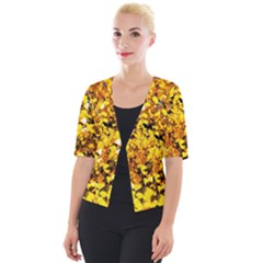 Birch Tree Yellow Leaves Cropped Button Cardigan by FunnyCow