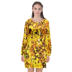 Birch Tree Yellow Leaves Long Sleeve Chiffon Shift Dress  by FunnyCow