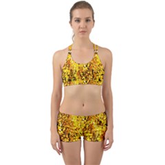 Birch Tree Yellow Leaves Back Web Gym Set by FunnyCow