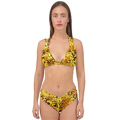 Birch Tree Yellow Leaves Double Strap Halter Bikini Set by FunnyCow