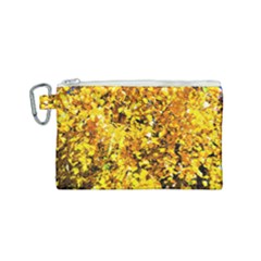 Birch Tree Yellow Leaves Canvas Cosmetic Bag (small) by FunnyCow