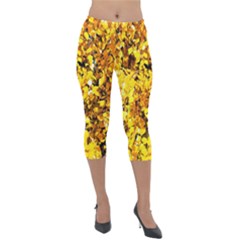 Birch Tree Yellow Leaves Lightweight Velour Capri Leggings  by FunnyCow