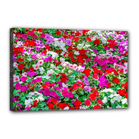 Colorful Petunia Flowers Canvas 18  X 12  by FunnyCow