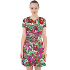 Colorful Petunia Flowers Adorable In Chiffon Dress by FunnyCow