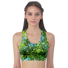 Forest   Strain Towards The Light Sports Bra by FunnyCow