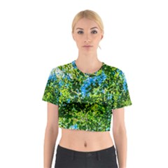 Forest   Strain Towards The Light Cotton Crop Top by FunnyCow