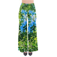 Forest   Strain Towards The Light So Vintage Palazzo Pants