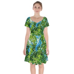 Forest   Strain Towards The Light Short Sleeve Bardot Dress by FunnyCow