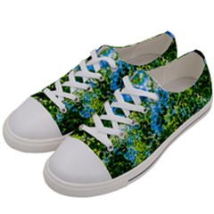 Forest   Strain Towards The Light Women s Low Top Canvas Sneakers by FunnyCow