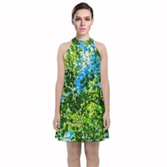 Forest   Strain Towards The Light Velvet Halter Neckline Dress  by FunnyCow