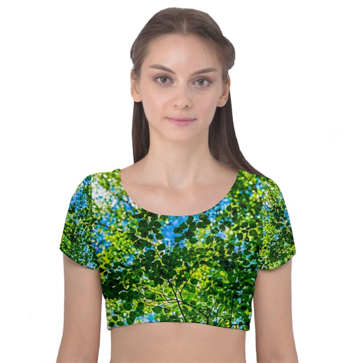 Forest   Strain Towards The Light Velvet Short Sleeve Crop Top 