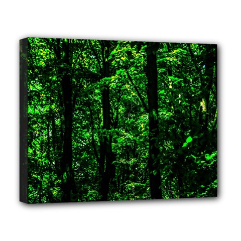 Emerald Forest Deluxe Canvas 20  X 16   by FunnyCow