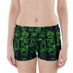 Emerald Forest Boyleg Bikini Wrap Bottoms by FunnyCow