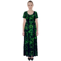 Emerald Forest High Waist Short Sleeve Maxi Dress by FunnyCow