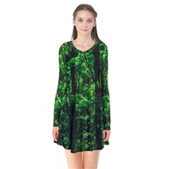 Emerald Forest Long Sleeve V-neck Flare Dress by FunnyCow