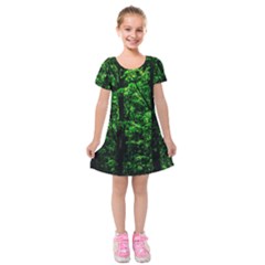 Emerald Forest Kids  Short Sleeve Velvet Dress by FunnyCow