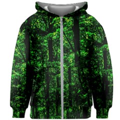 Emerald Forest Kids Zipper Hoodie Without Drawstring by FunnyCow