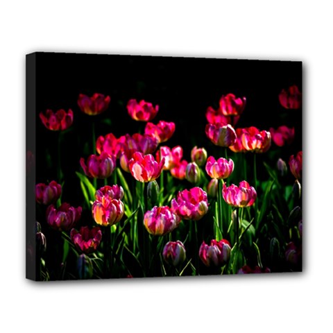 Pink Tulips Dark Background Canvas 14  X 11  by FunnyCow