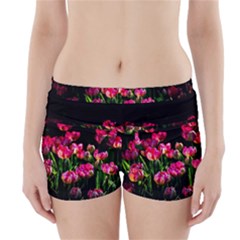 Pink Tulips Dark Background Boyleg Bikini Wrap Bottoms by FunnyCow