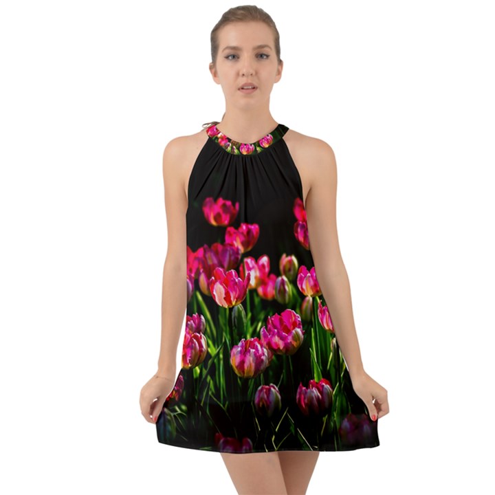 Pink Tulips Dark Background Halter Tie Back Chiffon Dress