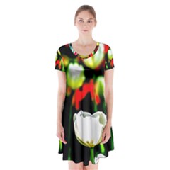 White And Red Sunlit Tulips Short Sleeve V-neck Flare Dress by FunnyCow