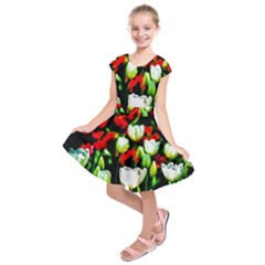 White And Red Sunlit Tulips Kids  Short Sleeve Dress by FunnyCow