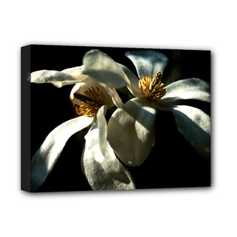 Two White Magnolia Flowers Deluxe Canvas 16  X 12   by FunnyCow