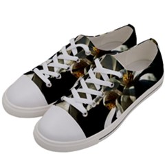 Two White Magnolia Flowers Women s Low Top Canvas Sneakers by FunnyCow